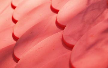 Barncluith plastic roof costs